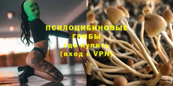 кокс Баксан