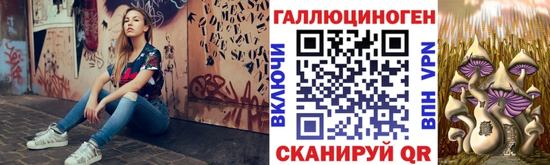 Галлюциногенные грибы GOLDEN TEACHER  Купить где  Ардатов 